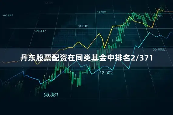 丹东股票配资在同类基金中排名2/371